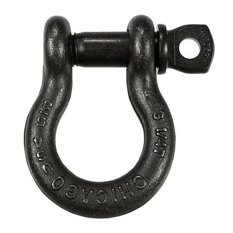 SHACKLE 1/4 - 1/4 Screw Pin Shackle Black USA 1/2 Ton