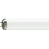 TL 20W/12 RS SLV/25 - Philips 323238