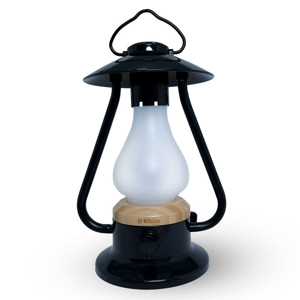 BONFIRE /TL/BK  Light Fixture - Bulbrite K80120