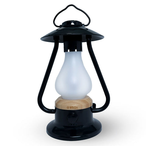 BONFIRE /TL/BK  Light Fixture - Bulbrite K80120