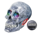 Skull Speaker - SKSP05